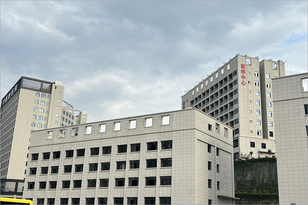 重庆-武隆富康医院-真岩®无机仿石材案例-03